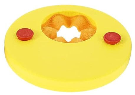 aqxreight 6pcs Armscheiben Eva Schaumscheiben Schwimmhilfsscheiben für (Regenbogenmeteor)