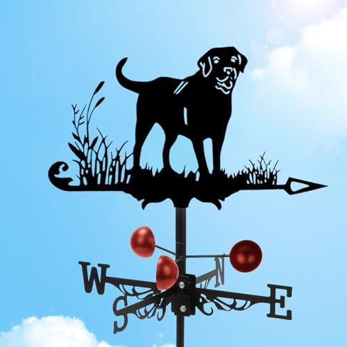 Stainless Steel Weather Vane, Weathervane for Outside