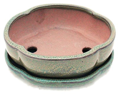 exotenherz - Bonsai-Schale mit Unterteller Gr. 3 - Oliv-Braun - haitang/oval - Modell I5 - L 17cm - B 14cm - H 5,5cm