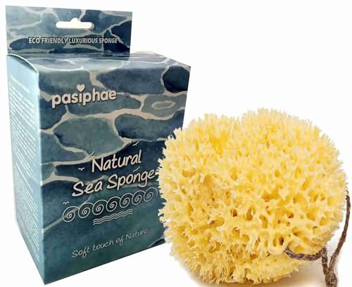 Pasiphae Éponge de mer naturelle en nid d'abeille jaune extra douce pour le bain et la douche, sur une corde, luffa eco cadeau en carton (taille M, 11-13 cm)
