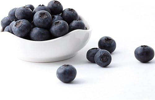 Wpppan 20 Pcs Artificial Blueberries Plastic Fake Blue Berry Plants Realistic Artificial Blueberry Plants for Home Wedding Office Party Kitchen Cabinet Artificial Fruit Flowers