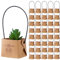 Fulmoon 40 envoltorios de suculentas con asas de plástico, bolsas de papel kraft, caja de regalo para suculentas, cestas de regalo para fiestas de bebé (color marrón)