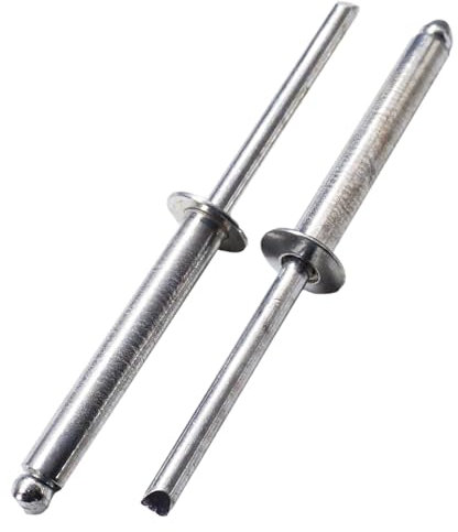 SKIR'CO 50 rivetti ciechi in acciaio zincato 4,8 x 30 mm, mandrino in acciaio, rivetti pop, testa a cupola, rivetti DIN 7337