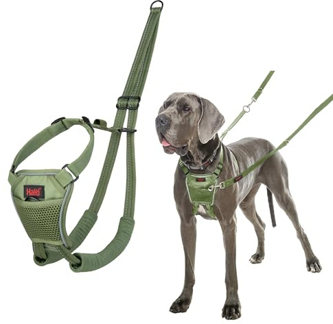 HALTI No Pull Anti-Zug Geschirr - Verhindert, DASS Ihr Hund an der Leine zieht, Gepolsterter Brust- und Beingurt, Reflektierendes Gurtmaterial, Einfache Anpassung und Benutzung (Größe L, Waldgrün)