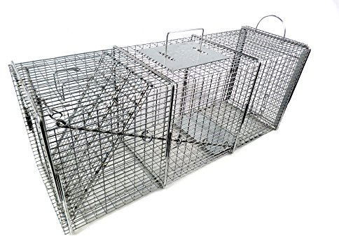 Tomahawk Live Trap Model 608SS - Professional Series Live Trap with Rear Sliding Door for Raccoon, Woodchucks, Feral Cats, Badgers, and Similar Size Animals