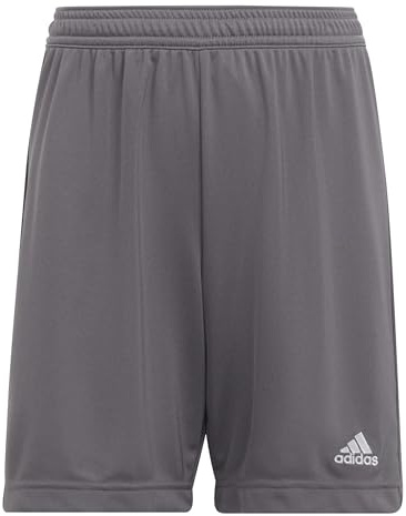Adidas Unisex Kinder Entrada 22 Shorts, Team Grey Four, 15-16 Years