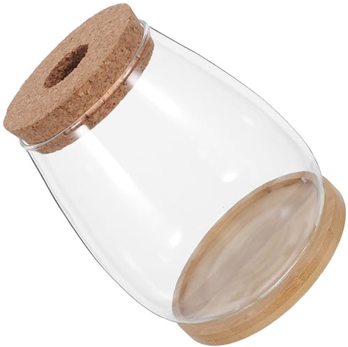 IWOWHERO Vase Hydroponique en Verre 2 Pièces Grand Format avec Bouchon en Liège et Plateau en Bambou, Récipient pour Propagation de Plantes D’intérieur, Décoration Jardin et Bureau,
