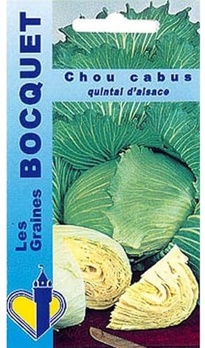 Sachet de graines de Chou cabus Quintal d'Alsace - 3 g - légume feuille - LES GRAINES BOCQUET