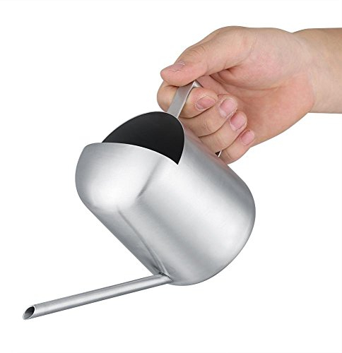 Regadera de Acero Inoxidable Interior Regadera de Metal al Aire Libre con Pico Largo Plantas de Interior Herramientas de jardín de Plata 500ML para Adultos 300ML para niños(300ml)