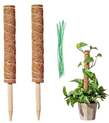 LINSOCLE 2 Pezzi Tutore Piante, Bastone per Piante Rampicanti, Totem Pole di Cocco, Bastone Fibra di Cocco per Estensione Supporto Piante Rampicanti (40CM)
