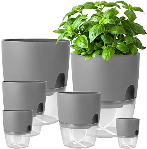 iDattel Blumentopf Mit Bewässerungssystem,Kräutertopf Küche Set Fensterbank selbstbewässernd-6er Set Kräutergarten für die Küche,23.5/15.3/10.5/8.2cm, für frische Küchenkräuter, Grau