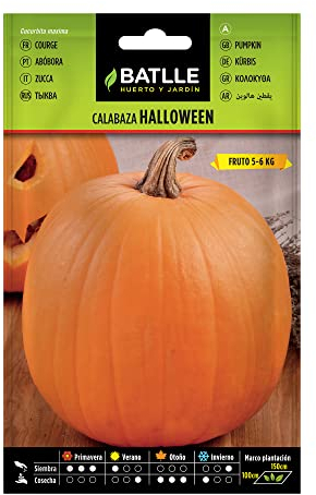 Batlle Gemüsesamen - Halloween Kürbis (6g Samen)