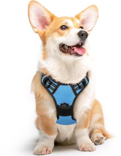 Eagloo Harnais Chien, Harnais Anti Traction pour Chien Réfléchissant Réglable, Facile à Mettre, avec Poignée Contrôle, Arnet pour Chiens Solide, Harnet pour Chiens Moyen et Grand, Bleu Clair, M