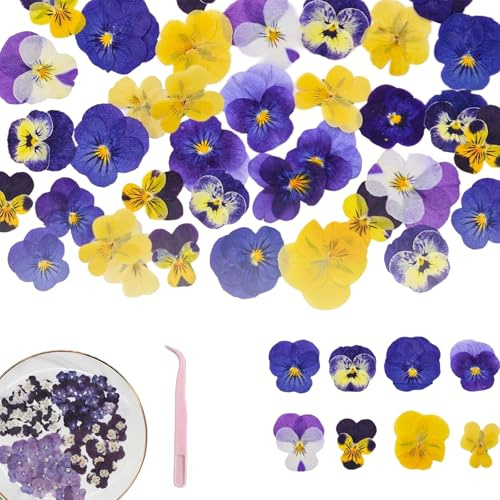 EUYKQNOI 40 Pezzi 4 Tipi di Fiori Naturali Essiccati e Pressati per Decorazioni di Torte – Mix di Viola Tricolore per Cocktail e Artigianato Fai-da-Te