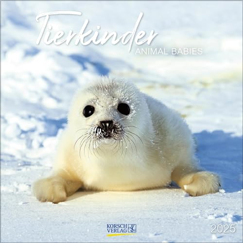 Tierkinder 2025: Broschürenkalender mit Ferienterminen. Babys von Tieren in süßen Bildern. 30 x 30 cm