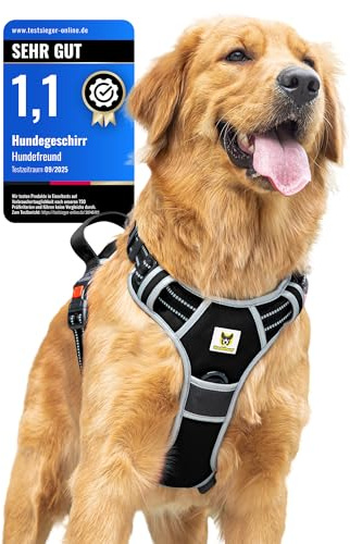 Hundefreund Hundegeschirr für Kleine Hunde – Reflektierend, Gepolstert & Verstellbar – Anti-Zug Geschirr mit Griff & 3 Sicherheitsverschlüssen – Sicher Gassi Gehen & Autofahren – (S, Schwarz)