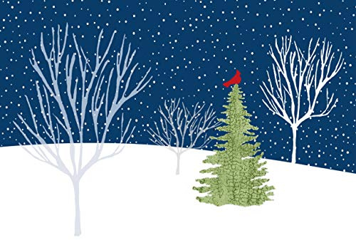 Midnight Cardinal Deluxed Boxed Holiday Cards (Christmas/ Holiday/Greeting Cards)