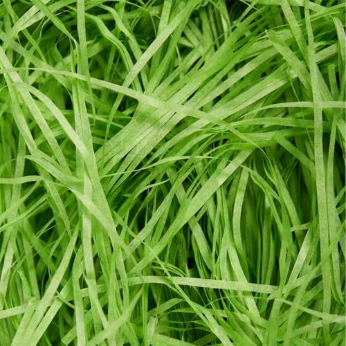 100g Green Shredded Tissue Paper for Gift Boxes, Hampers and Gift Bags | Ideal Hamper Suffing Filling Gift Packaging Filler Suitable Birthday Wedding Easter Christmas New Year Anniversary
