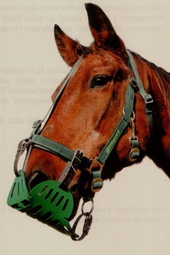 greenguard Halfter, Gr. 55