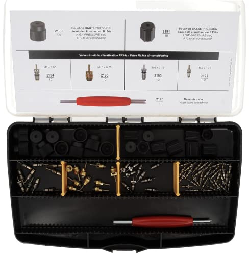 Restagraf - Coffret d'Assortiment d'Accessoires pour Circuit de Climatisation Automobile - 10 Bouchons Haute Pression, 10 Basse Pression, 60 Valves, 1 Démonte-Valve - Entretien Circuit R134a - Réf. 54