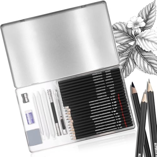 Kit Dessin Professionnel Crayon Graphite Grades 2H à 8B, Crayon Dessin pour Croquis, Crayons et Écriture, pour Artistes et Amateurs, Set de 29