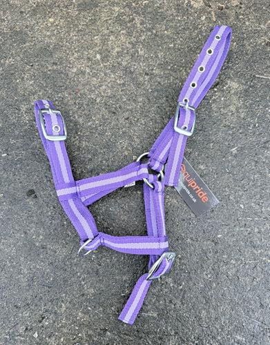Equipride FOAL HEADCOLLAR HALTER MULTI ADUSTABLE IN 10 AMAZING COLOUR (Purple/Lialc)