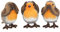 Nemesis Now Three Wise Robins Figur, 8 cm, Braun