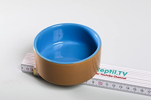 Wasserschale, medium ca.9 cm Durchmesser