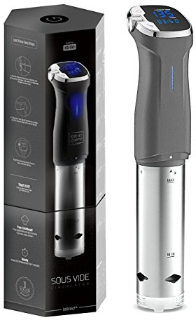 Kitchen Gizmo Sous Vide Inmersión Circulador – Cocina con precisión, 800 W Gris Circulador Stick con panel de control de pantalla táctil y función de seguridad – Bonus libro de recetas incluido