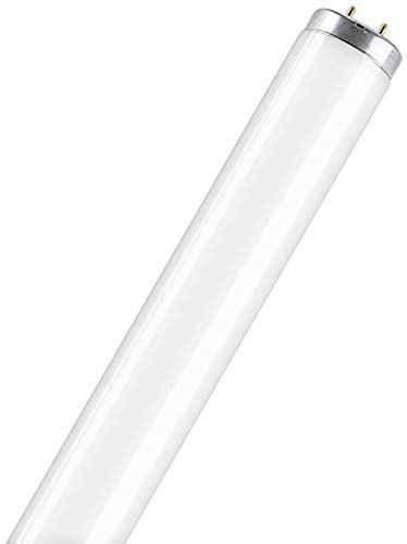 Osram L 20 W/640 SA Tube Fluorescent 25 x 1