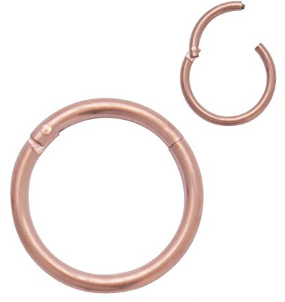 4youquality Surgical Steel Nose Ring Septum Clicker Hinge Segment Ear Helix Tragus Ring Hoop Nose Rings (Rose Gold, Size 1.0 * 8mm Medium)