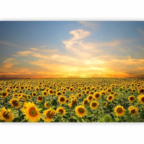 murando Fotomurales Autoadhesivos Paisaje 245x175 cm Papel Pintado Decoración de Pared Murales Pegatina decorativos adhesivos 3d Fotográfico Pradera Naturaleza b-B-0621-a-a