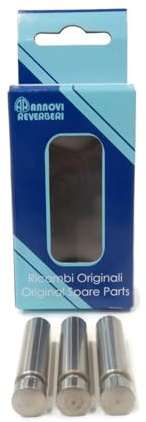 The ROP Shop OEM Annovi Reverberi Piston Kit for RMV25G30D-EZ, RMV25G30-EZ, SRMV22G24, SRMV22G28