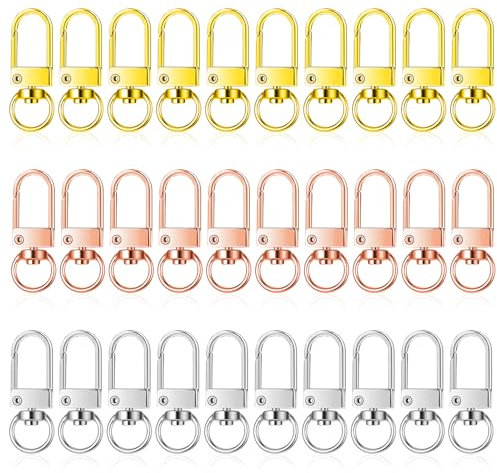 AHQiZFX Lot de 30 mousquetons porte-clés avec mousqueton, porte-clés à clip, fermoir mousqueton en métal avec articulation pivotante, pour bricolage, sac à main, porte-clés, collier pour animaux de