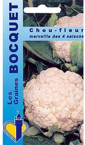 Sachet de graines de Chou fleur merveille de toutes saisons - 1 g - légume fleur - LES GRAINES BOCQUET