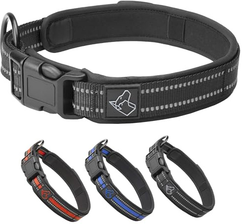TickTrick Hundhalsband med integrerad fästingbandshållare – träningshalsband för hundar av robust nylon – reflekterande – S–XL – svart, röd, blå – för små och stora hundar (svart, M)