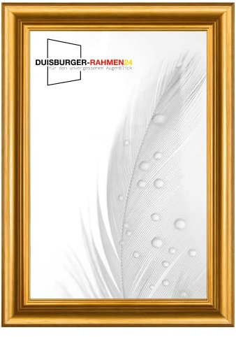 DR24 N°45 Barock Bilderrahmen 40x50 aus Holz | Gold matt | Retro Vintage Antik Barockrahmen inkl. bruchsicherer Anti-Reflex Kunstglasscheibe und Metall Aufhängern