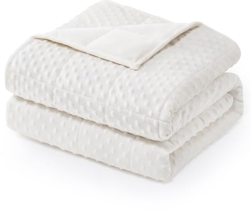 Wemore Minky Dot Weighted Blanket for Adults Queen Size 15 lbs, Soft Heavy Blanket for Stress Relief and Sleep Promotion, Breathable Blanket for All-Season with Glass Beads, White 60 x 80 inches