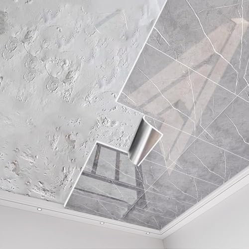 Minglez Dalle de Plafond Dalles de Plafond Suspendu pour Couvrir Les Murs Abîmés, Papier Peint Décoratif pour Plafond en Bois, Béton ou Cloison Sèche, Revêtements Imperméables pour Plafonds(B,10pack)