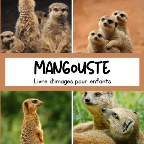 Livre d'images pour enfants - Mangouste: Découvrir les Mangoustes en image - Enfants de 2 à 5 ans