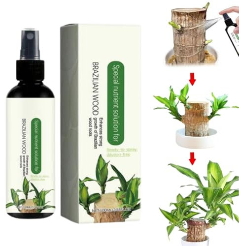 Engrais Brésilien Pour plants En Bois Chanceux – Engrais Pour plants D'intérieur En Bois Brésilien | Solution Nutritive Hydroponique En Bois Brésilien De 100 Ml Pour Bois Porte-bonheur (1 Pièce)