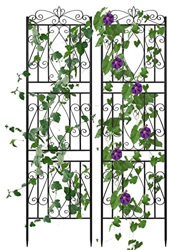 unho Rankgitter 2er Set Metall: 182 x 50 cm, rostfrei Rankhilfe Garten Spalier Rankzaun Kletterpflanzen Gartendeko Rosengitter Pflanzengitter Garten Schwarz