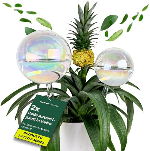 Netrox Bewässerungskegel aus Ton – ideal im Urlaub, bis 14 Tage – automatische Pflanzenbewässerung für Zimmerpflanzen, Garten & Balkon – Bewässerung, Bewässerungssystem, Wasserspender Pflanzen