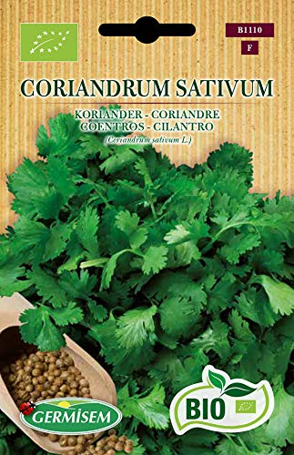 Germisem Bio Graines Coriandre Coriandrum Sativum ECBIO1110 Multicolore