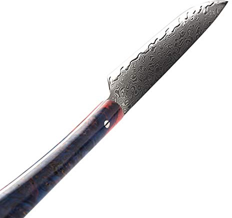 Cuchillo de bistec VG10 Damasco Steel Profesional Chef Cuchillos Ultra Sharp Madera Manija Utilidad Tomate Paring Cuchillos Cocina Cena Cena