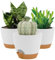 16.5CM Plant Pots Indoor,Self Watering Plant Pots of 3,Flower Pots with Drainage Holes and Trays,Decorative Modern Suitable for flowers,Snake Plant,Orchid,Lily, Aloe,Violet and House Plant(White)