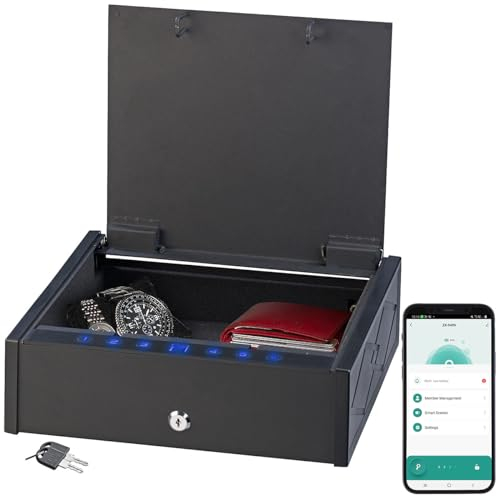 Xcase Safe: Smarter Tresor mit biometrischer Fingerabdruckerkennung, App (Safe Tresor mit Schlüssel, Mini Safe Tresor, Dokumentenmappe)