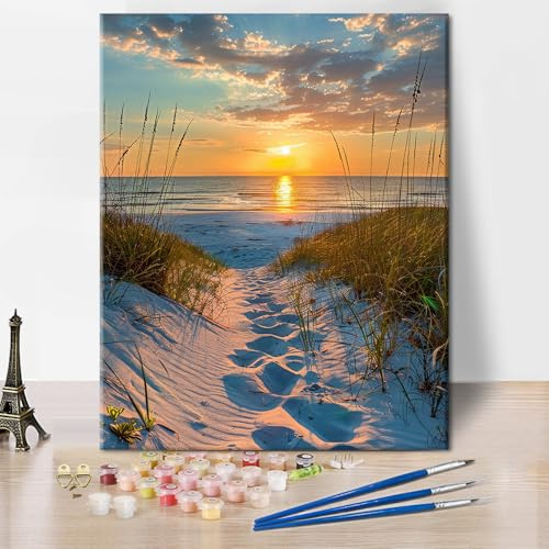 TISHIRON DIY Paint by Numbers for Adults with Brushes Sand, Grass, and Ocean Waves Oil Hand Painting Seaside Sunset Adult Paint by Number Paint by Number Kits on Canvas Art Crafts 16x20(Frameless)