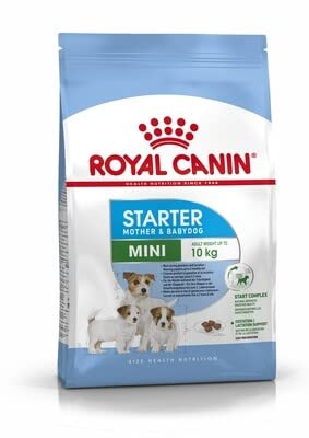 Royal Canin Mini Starter Mother & Babydog Dry Food 4kg