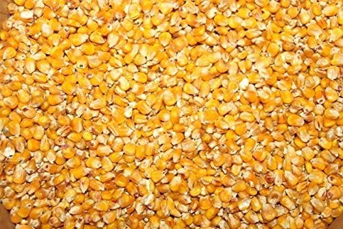 Futtermittel Kuhnwald GmbH